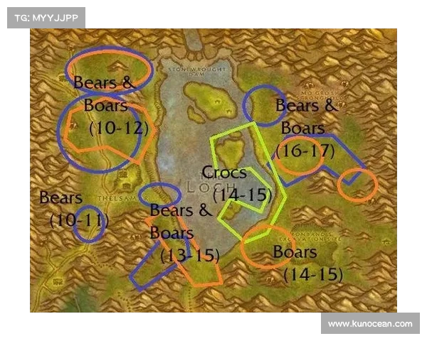 魔兽世界怀旧服：站桩升级攻略解析